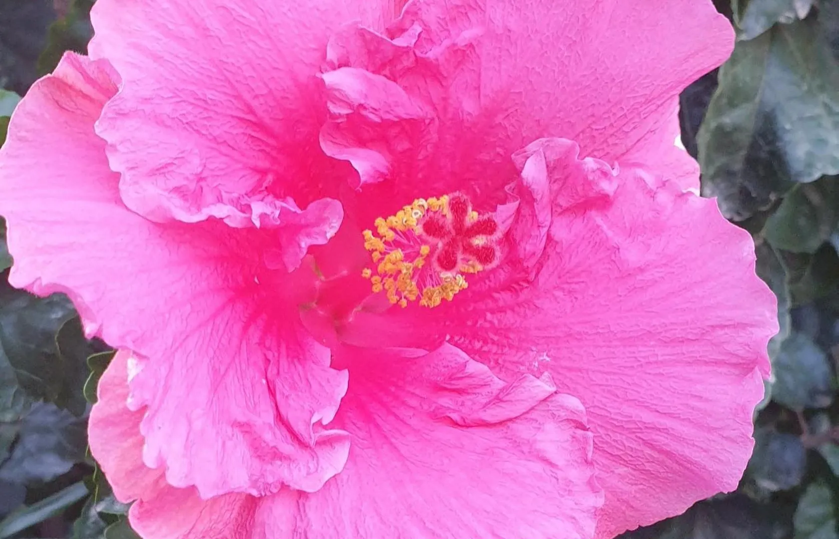 Hibiscus Cottage Strand 0*,  Sudáfrica